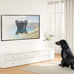 Mountup Store -Mountup Store 10 55b21831 c1e6 4098 b886 9c7811307812